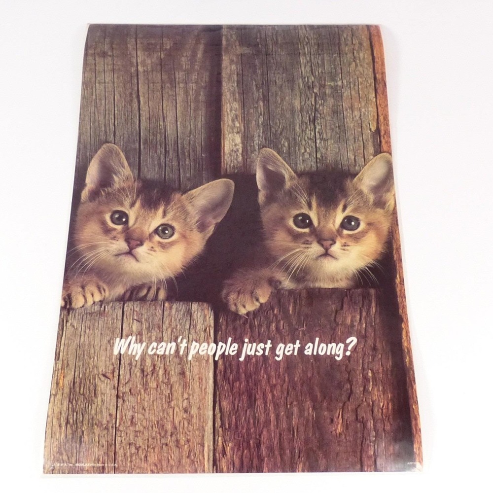Why Can't People Just Get Along Kitten Motivational Poster 18x12 Vtg 1978 Art